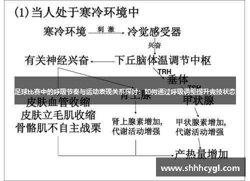 足球比赛中的呼吸节奏与运动表现关系探讨：如何通过呼吸调整提升竞技状态